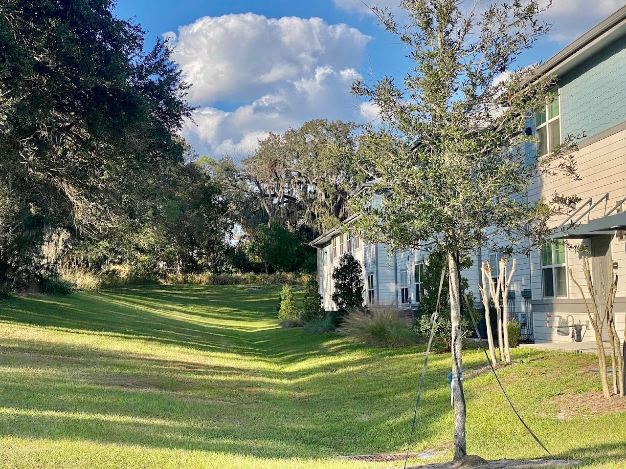 Banyan Reserve Senior