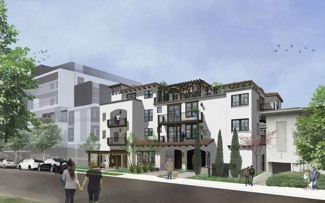 Blue Hibiscus