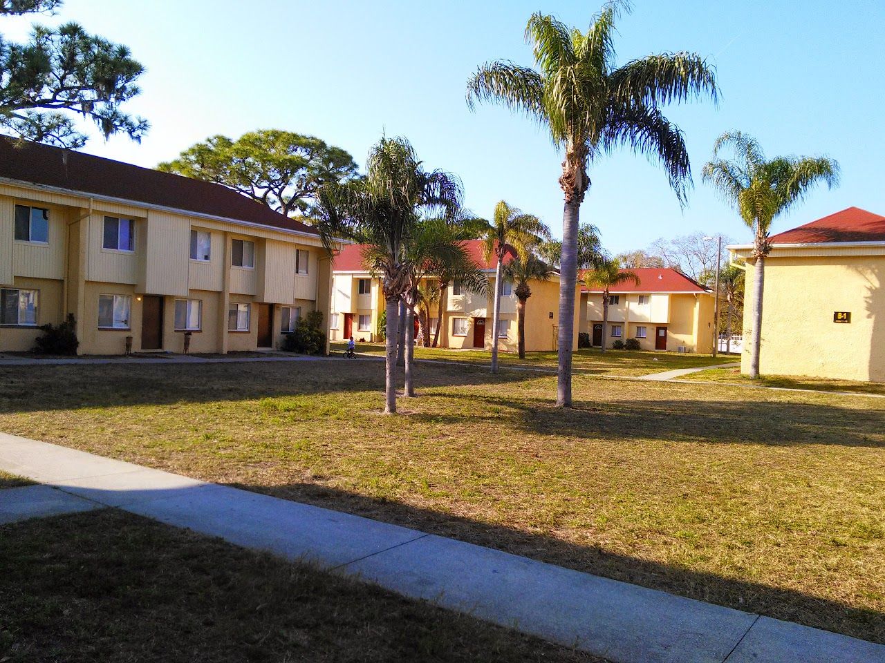 Boca Ciega