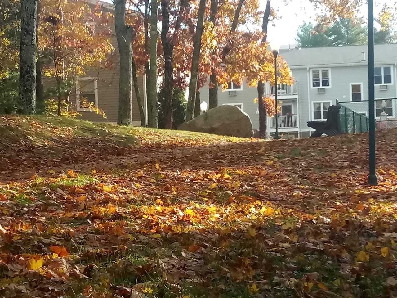 Brandy Hill