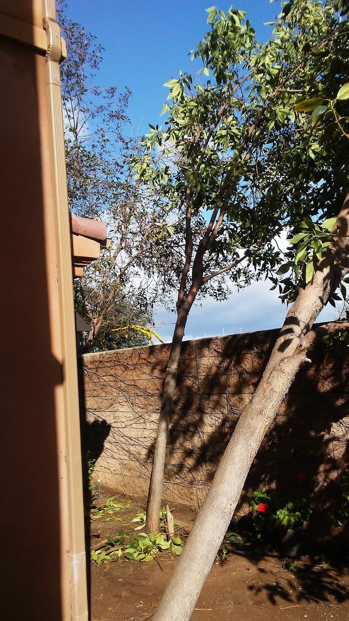 Brisa Del Mar Village Apts
