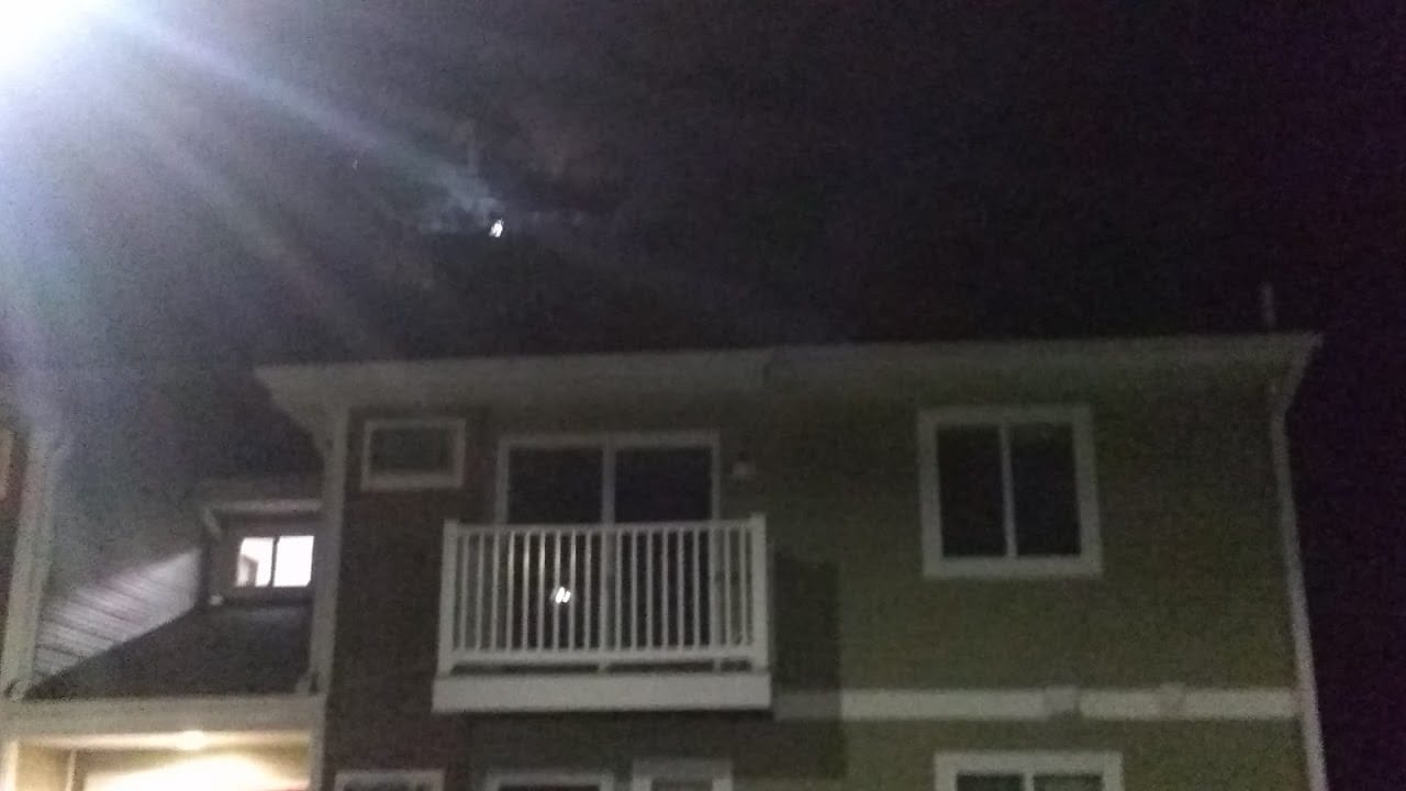 Bristle Arms Apts