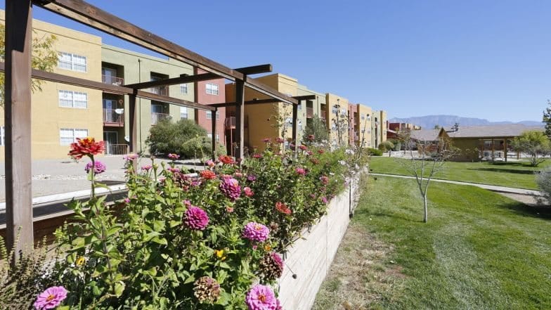 Buena Vista Active Adult Community