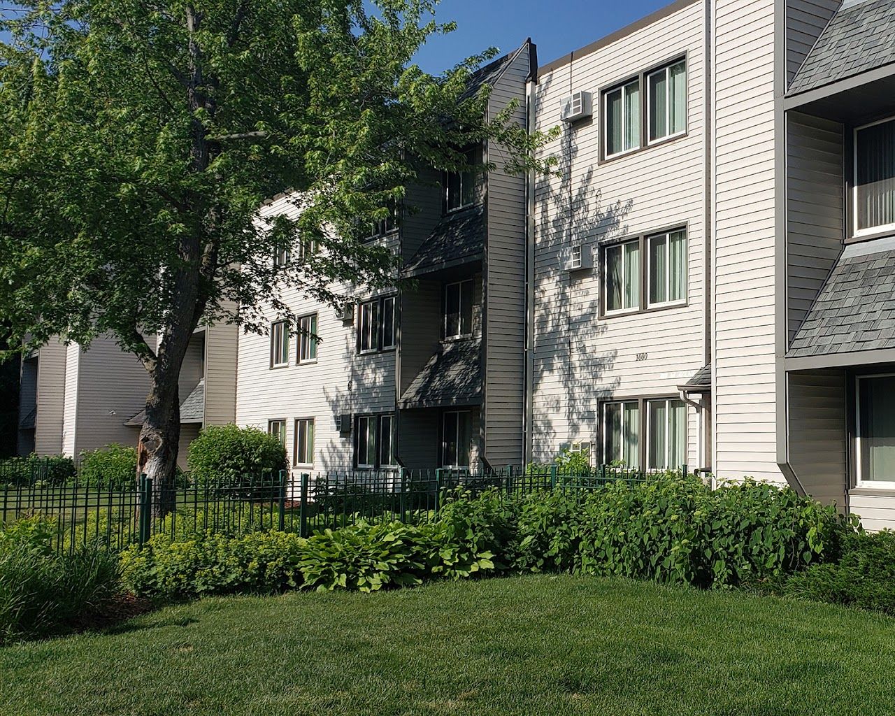 Buffalo Court