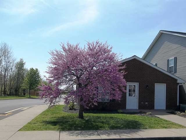 Cambridge Pointe Apartments