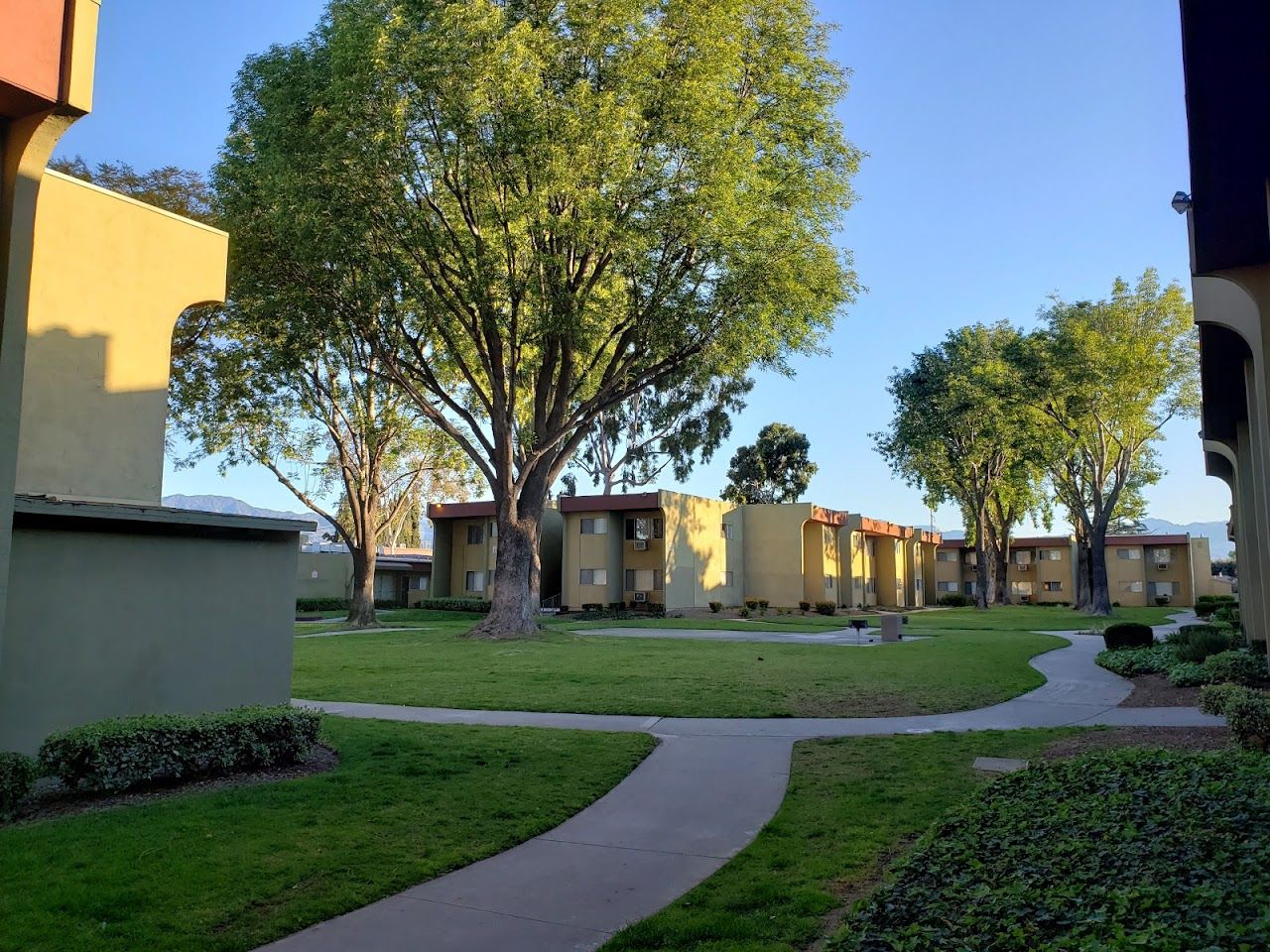 Cameron Park Apts