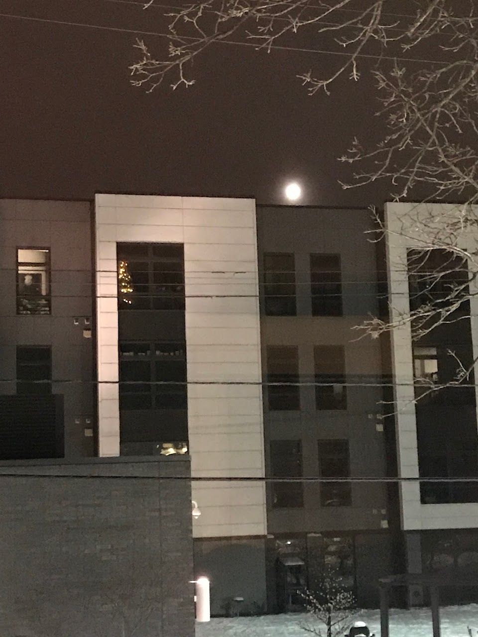 Central Apartments