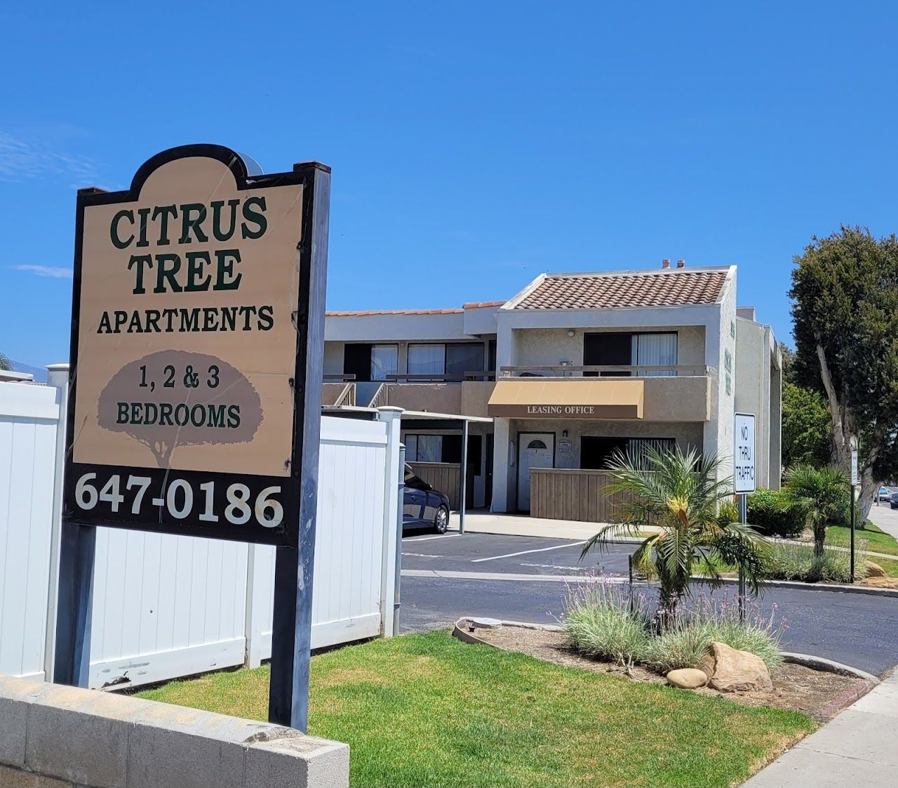 Citrus Tree Apts