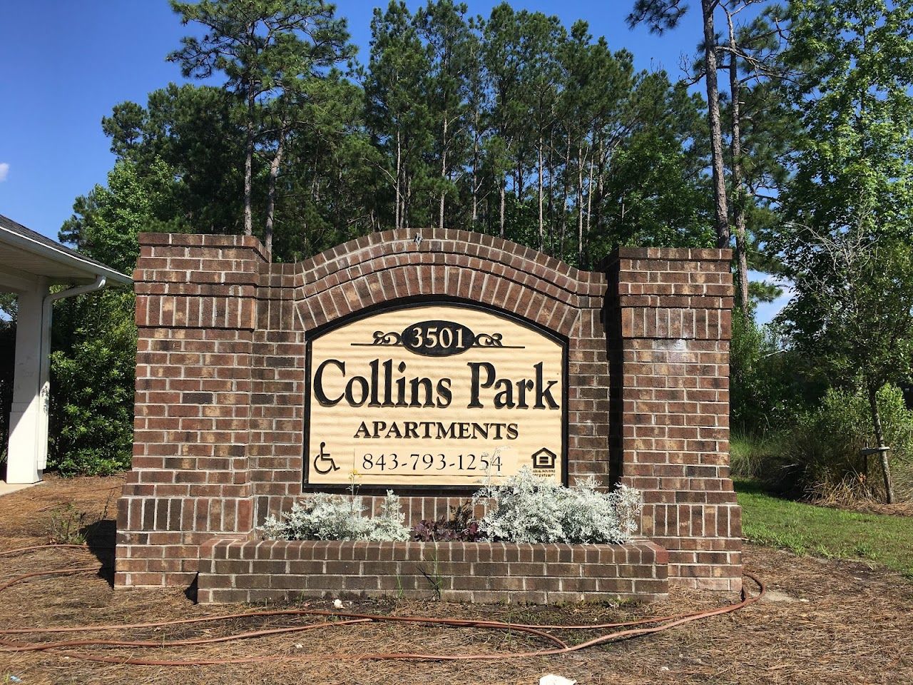 Collins Park