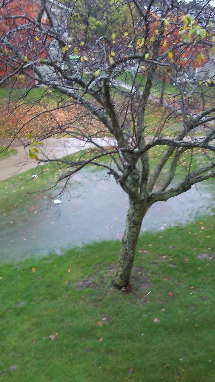 Country View Apartments