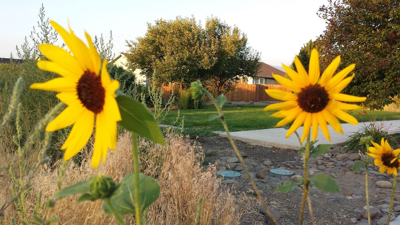 Crestmore Village Apartments