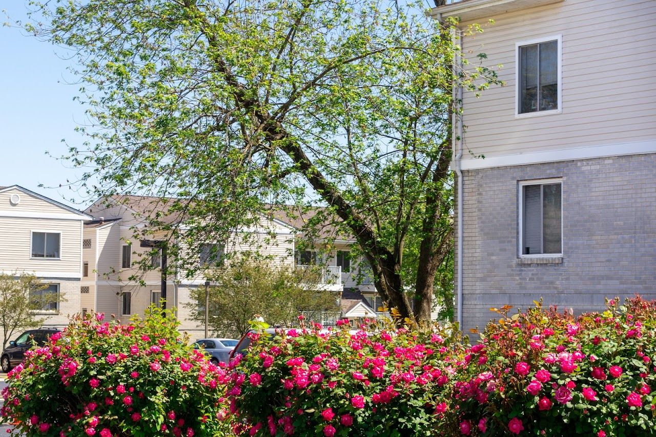 Cynwyd Apartments