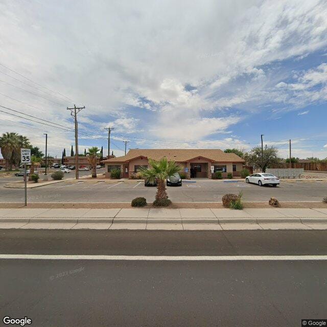 Desert Palms