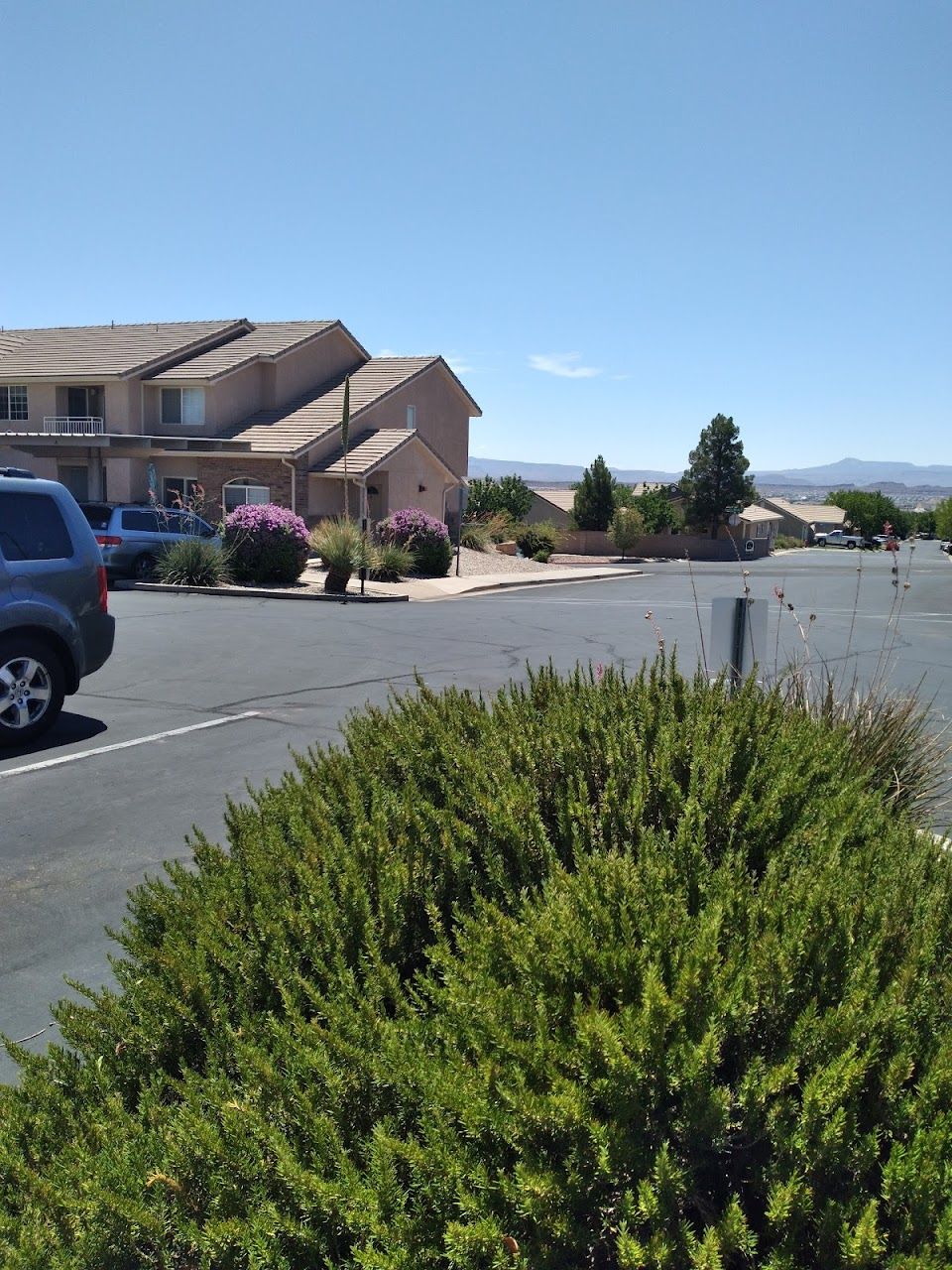 Desert Rose Villas