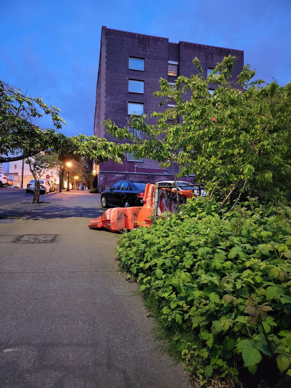 El Patio