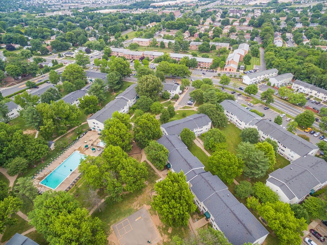 Fields Of Leesburg I
