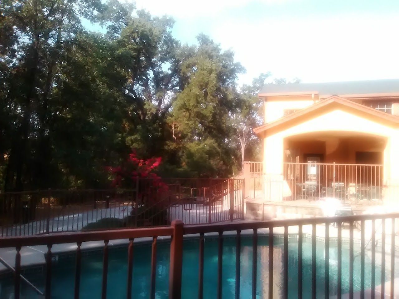 Forest View Senior Apts