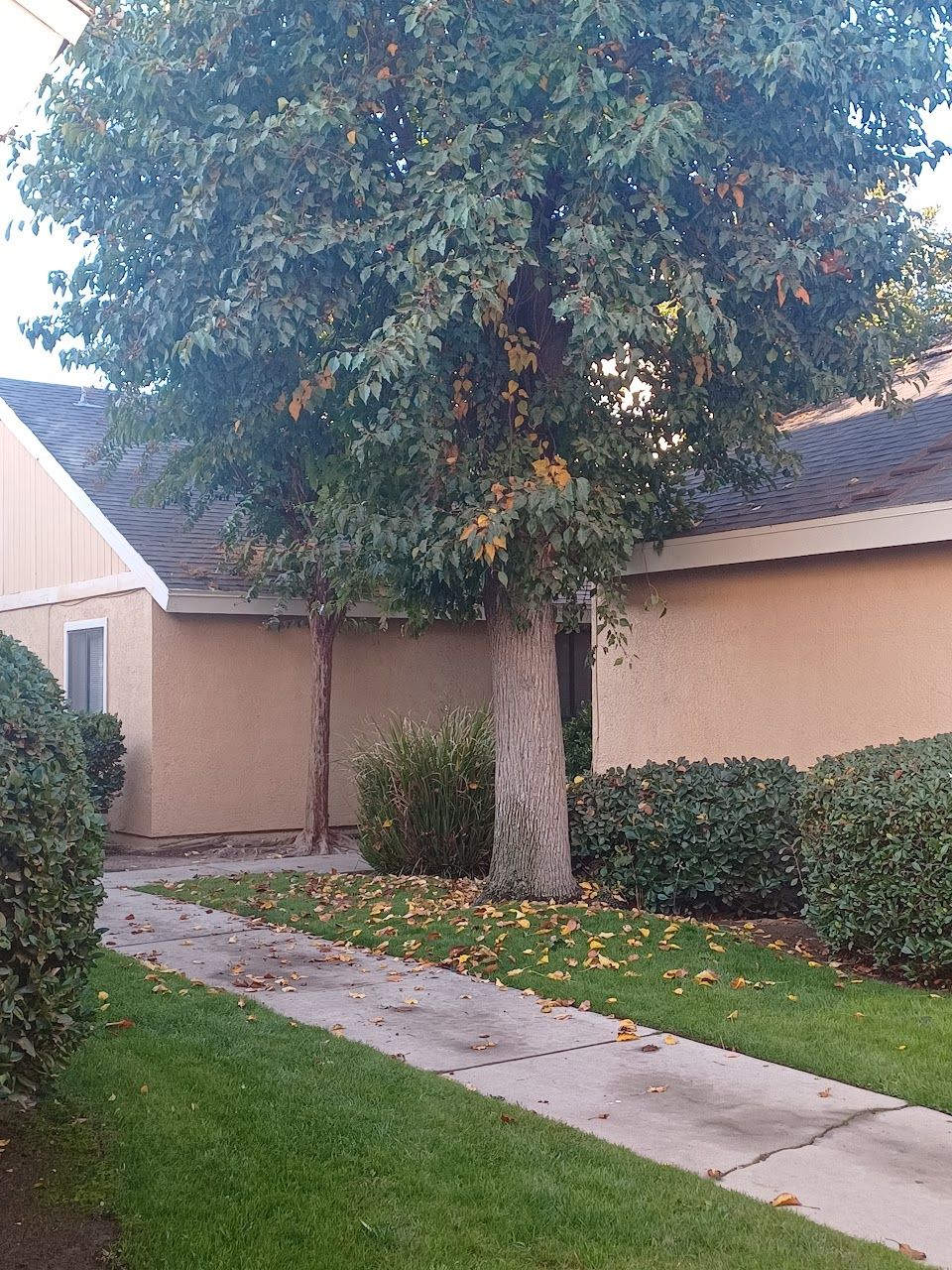 Fresno Arms Apts