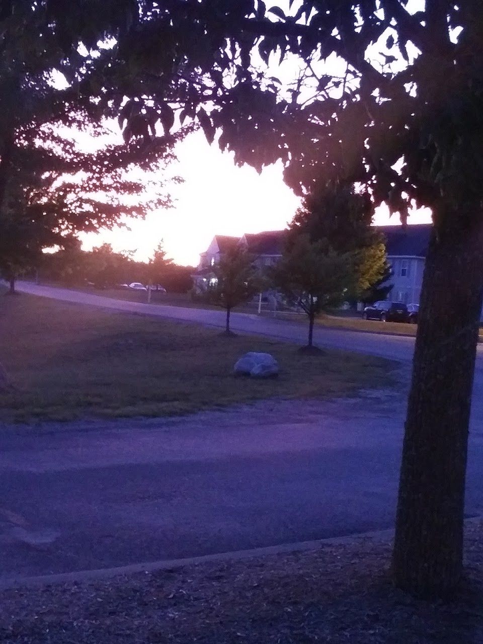 Green Meadows Of Gaylord