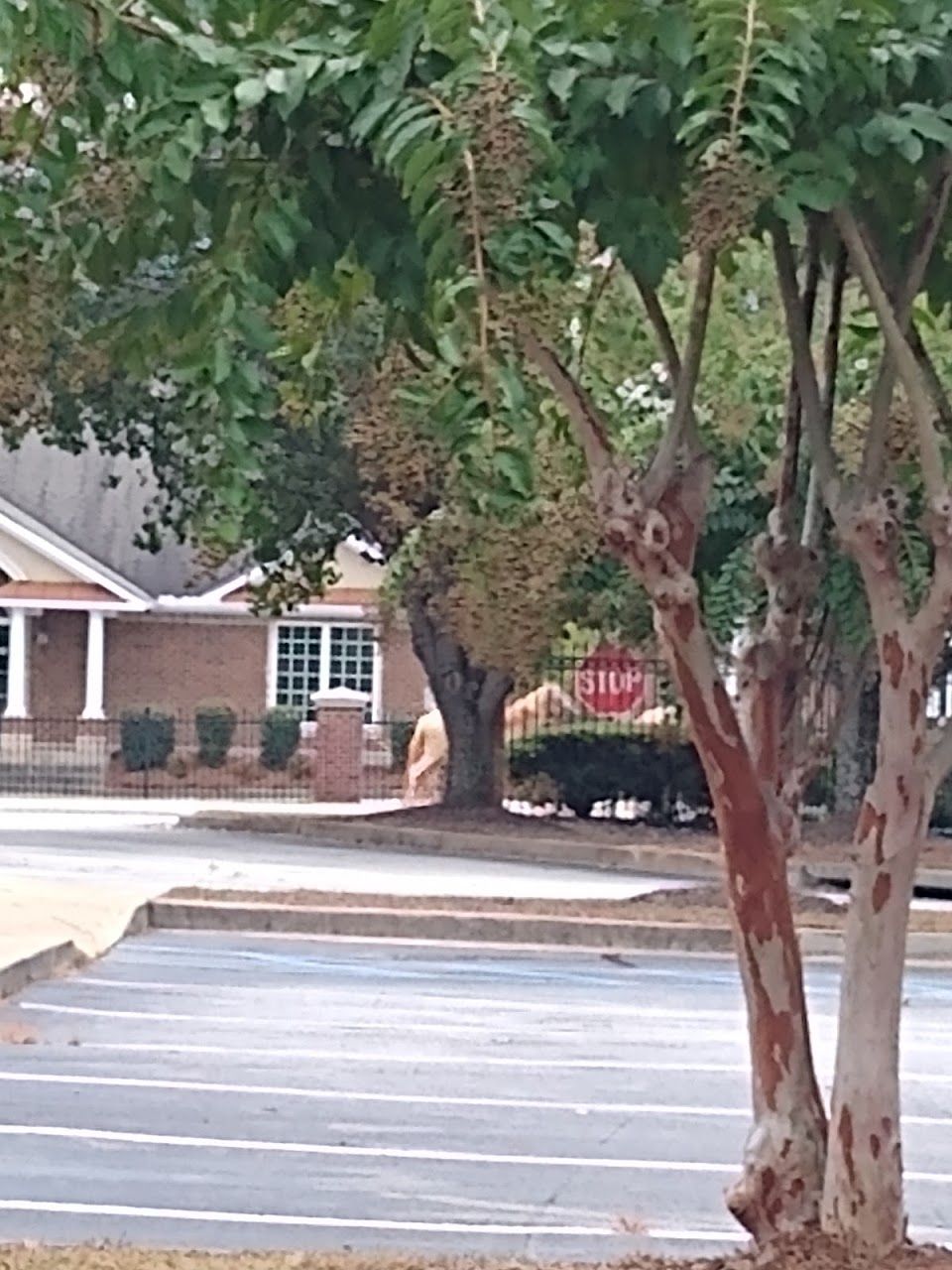 Greystone Apartments Of Mcdonough