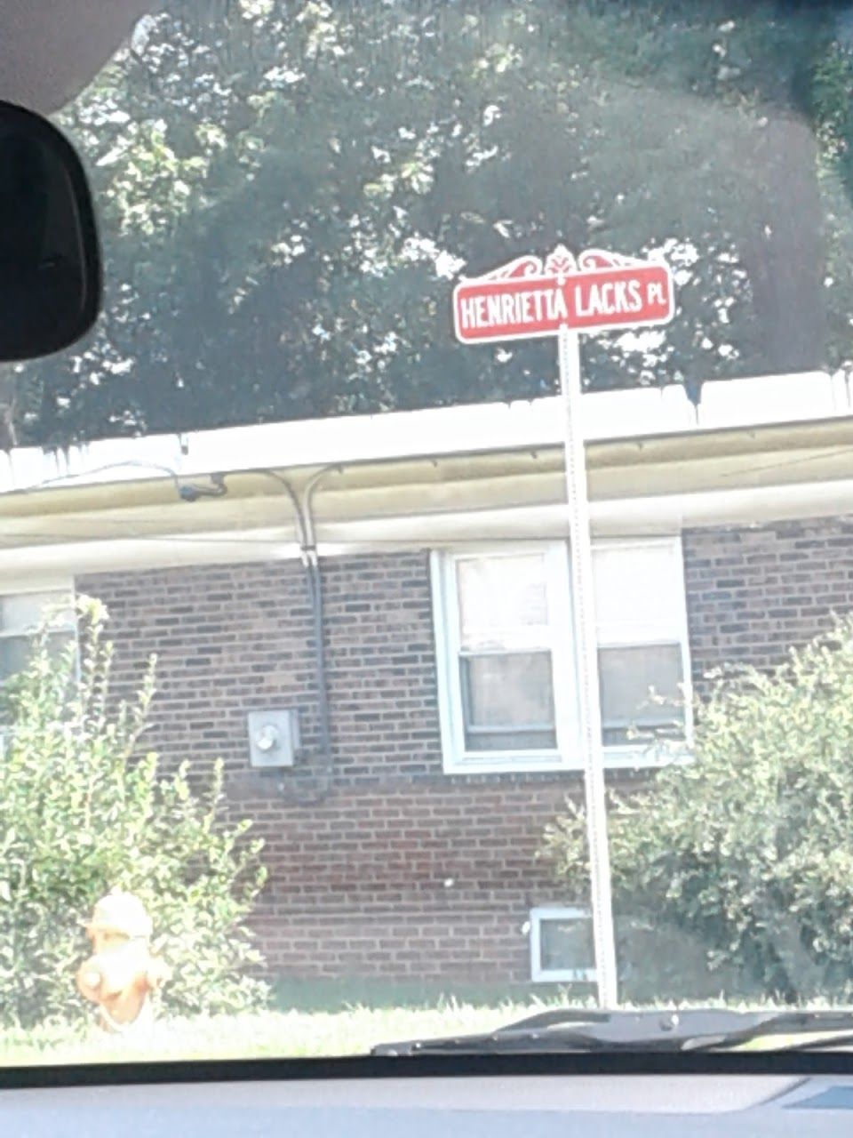Henrietta Lacks Village @ Lyons Homes Ii   Project 1