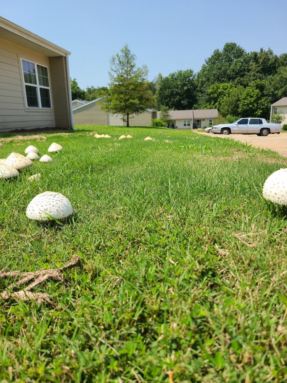 Hillside Apartments