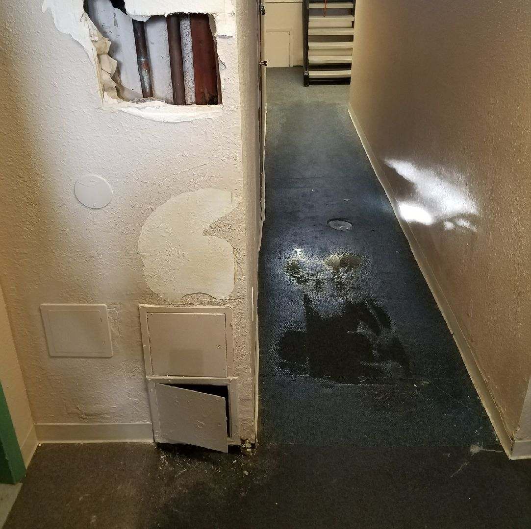 Holly Park Apartments