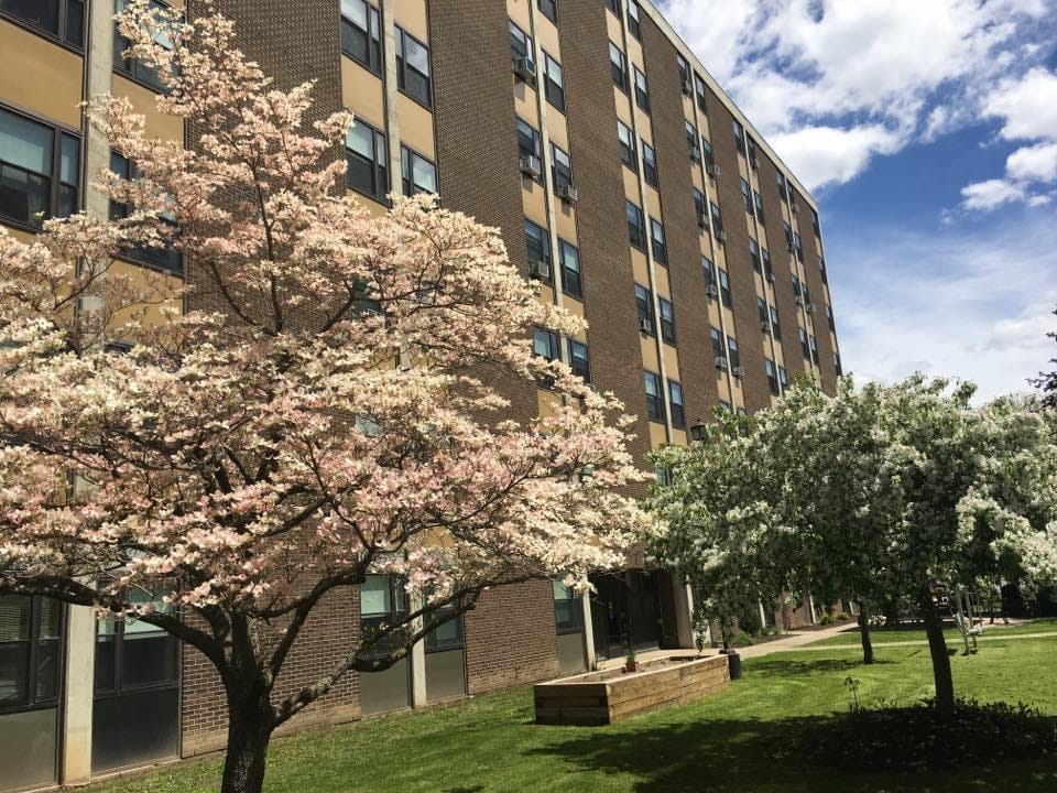 Ilion Housing Authority