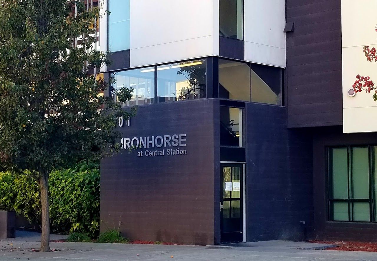 Ironhorse At Central Station