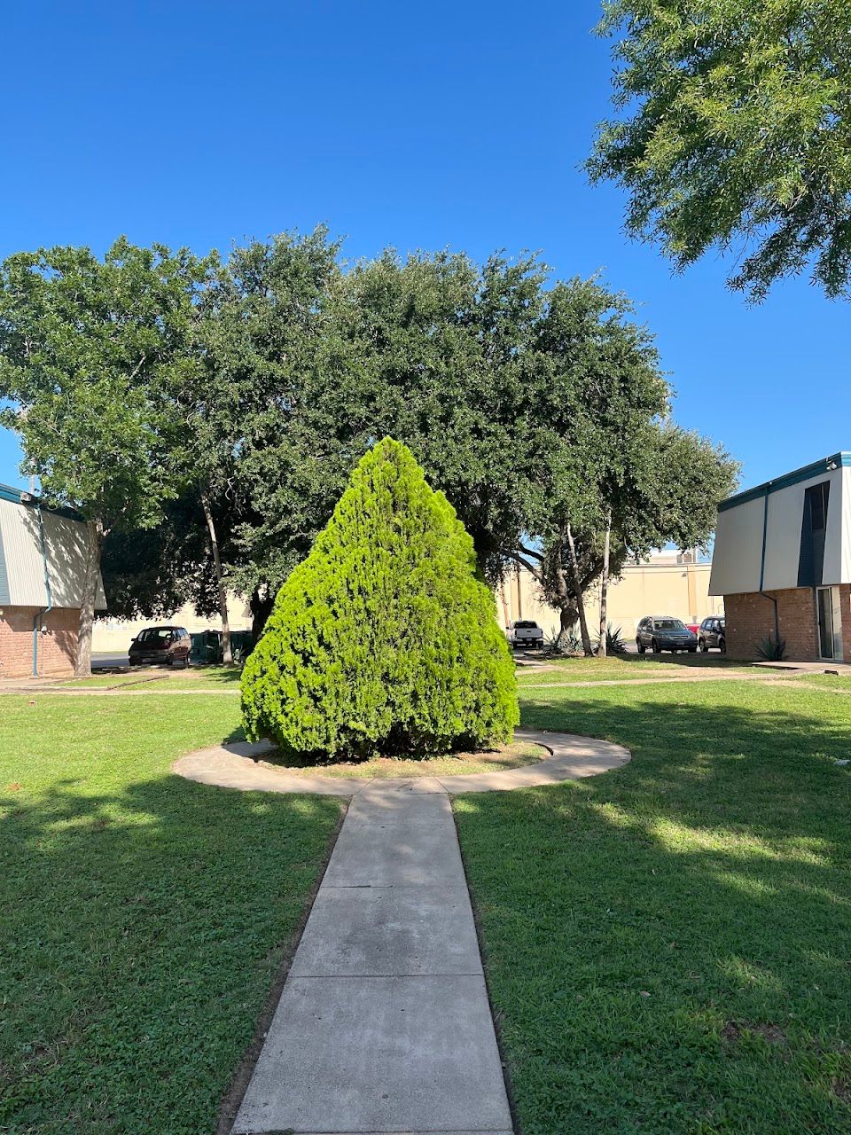 Jackson Apartments