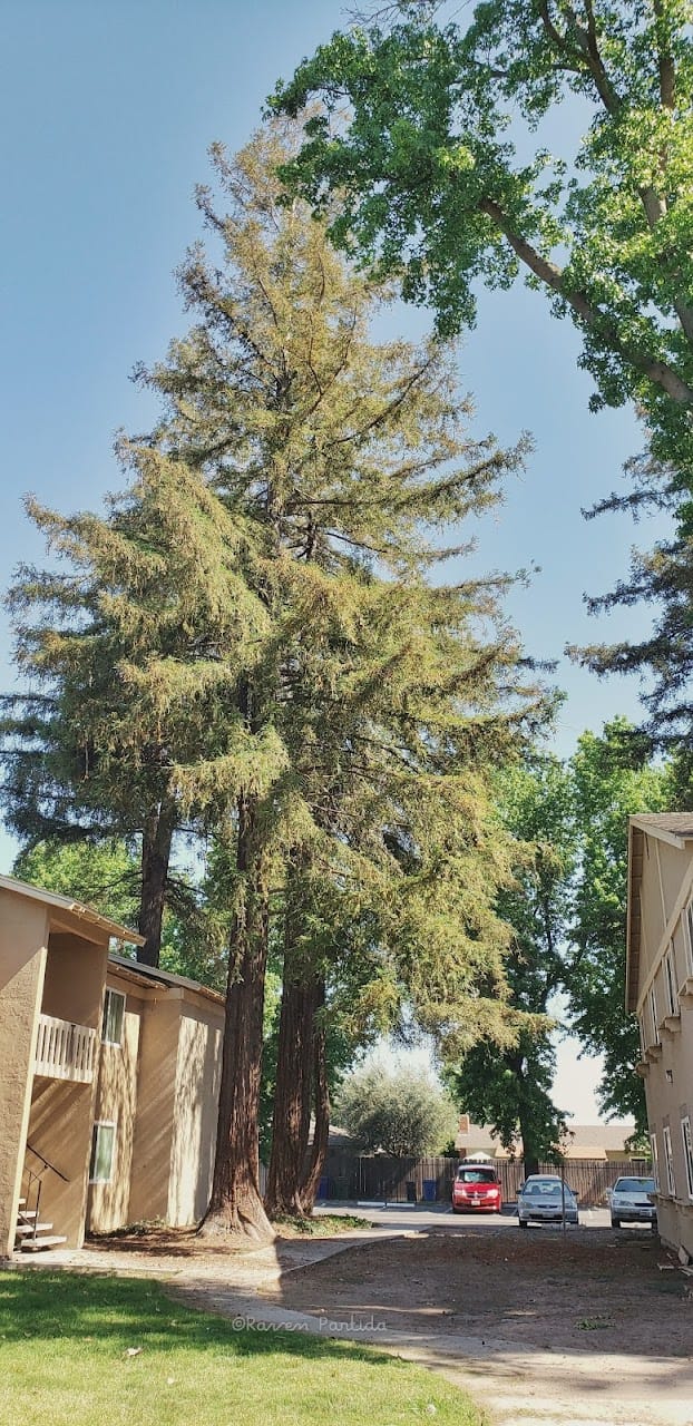 Lake Park Apts