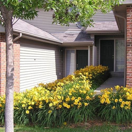 Lake Shore Townhomes (Fka Rice Lake Townhomes)