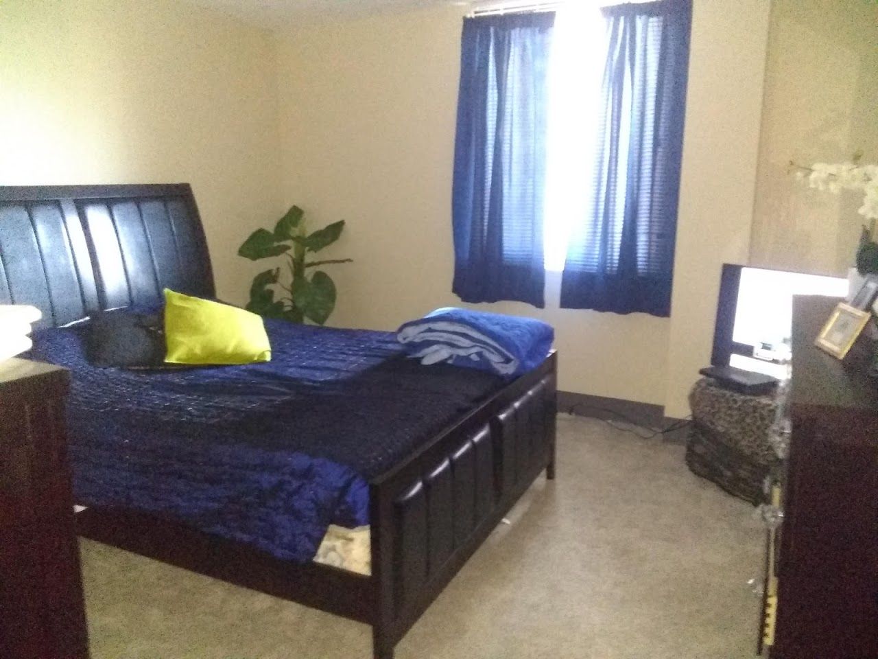 Lakeside Tower Apts