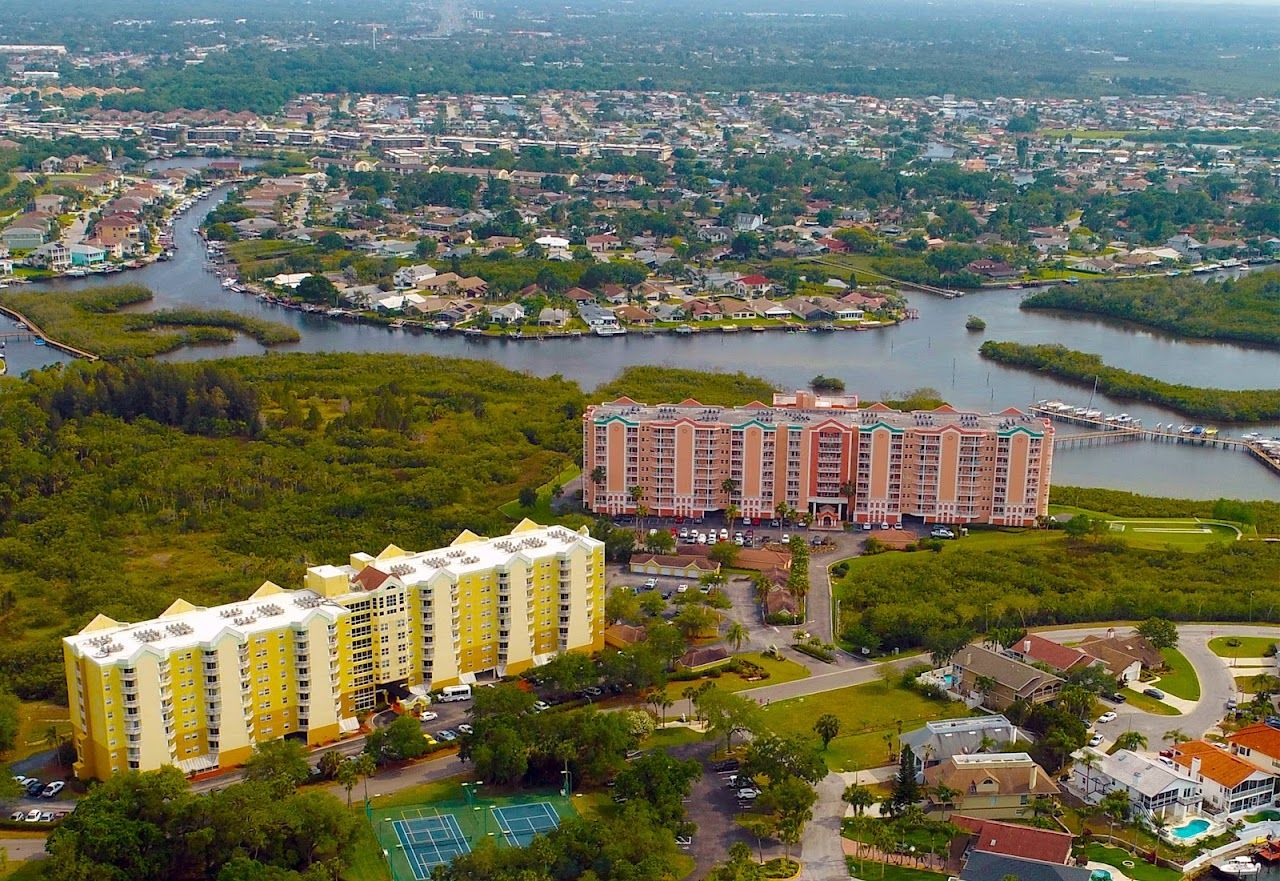 Landings At Sea Forest