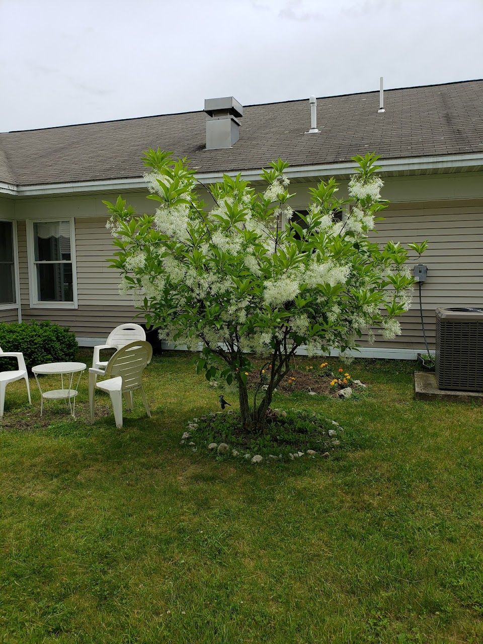Larrabee Village