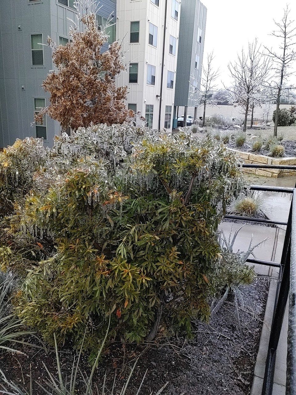 Laurel Creek Apartments (Fka Foundation Village)