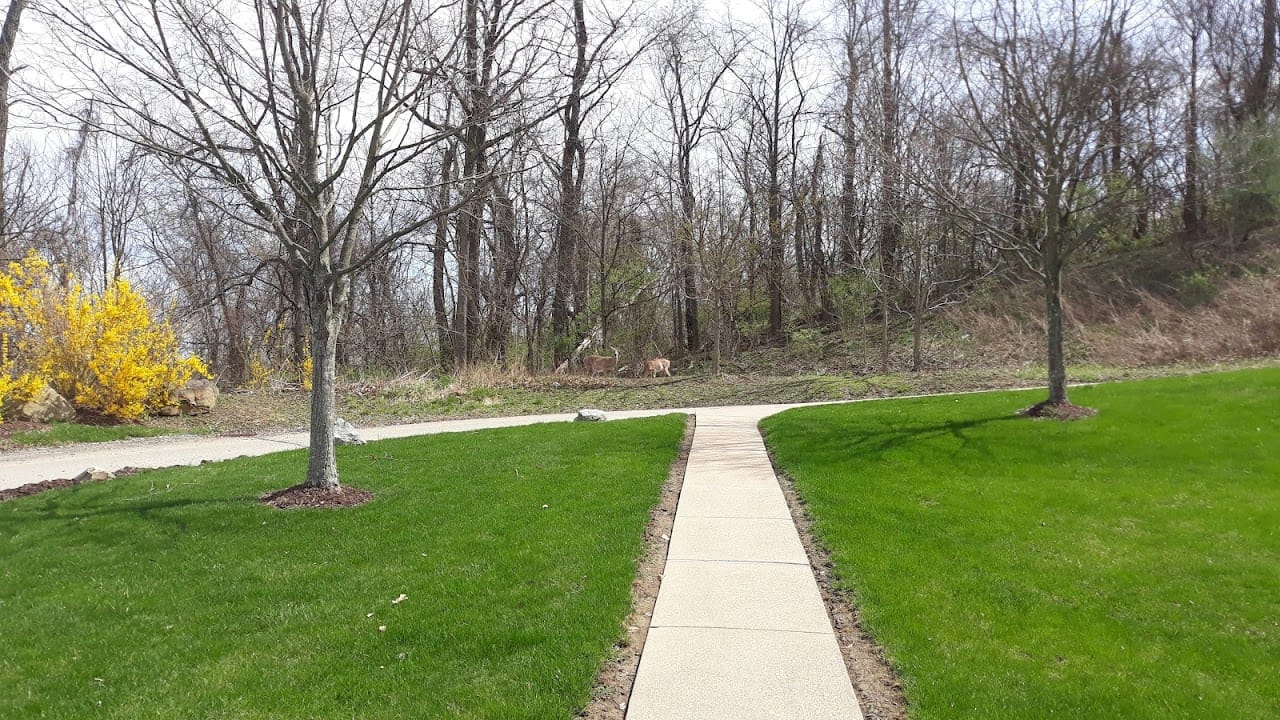 Lavender Heights Ii