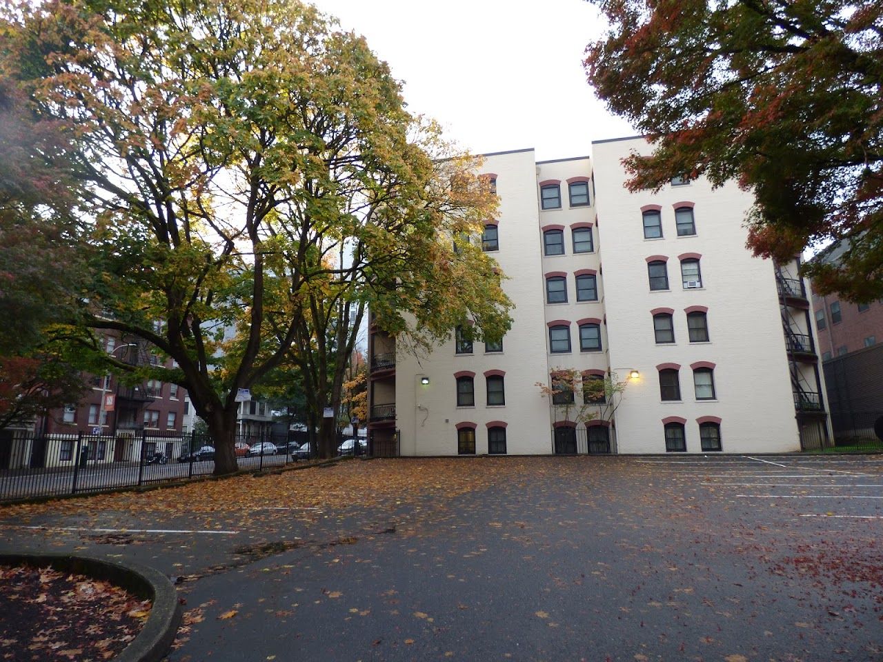 Lexington Apts