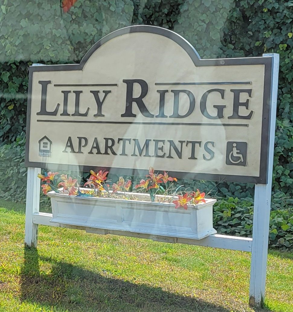 Lily Ridge