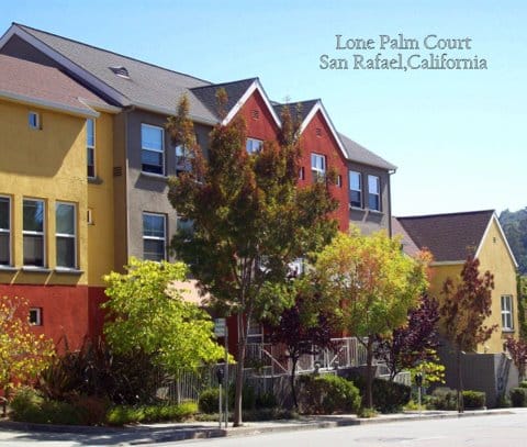 Lone Palm Court
