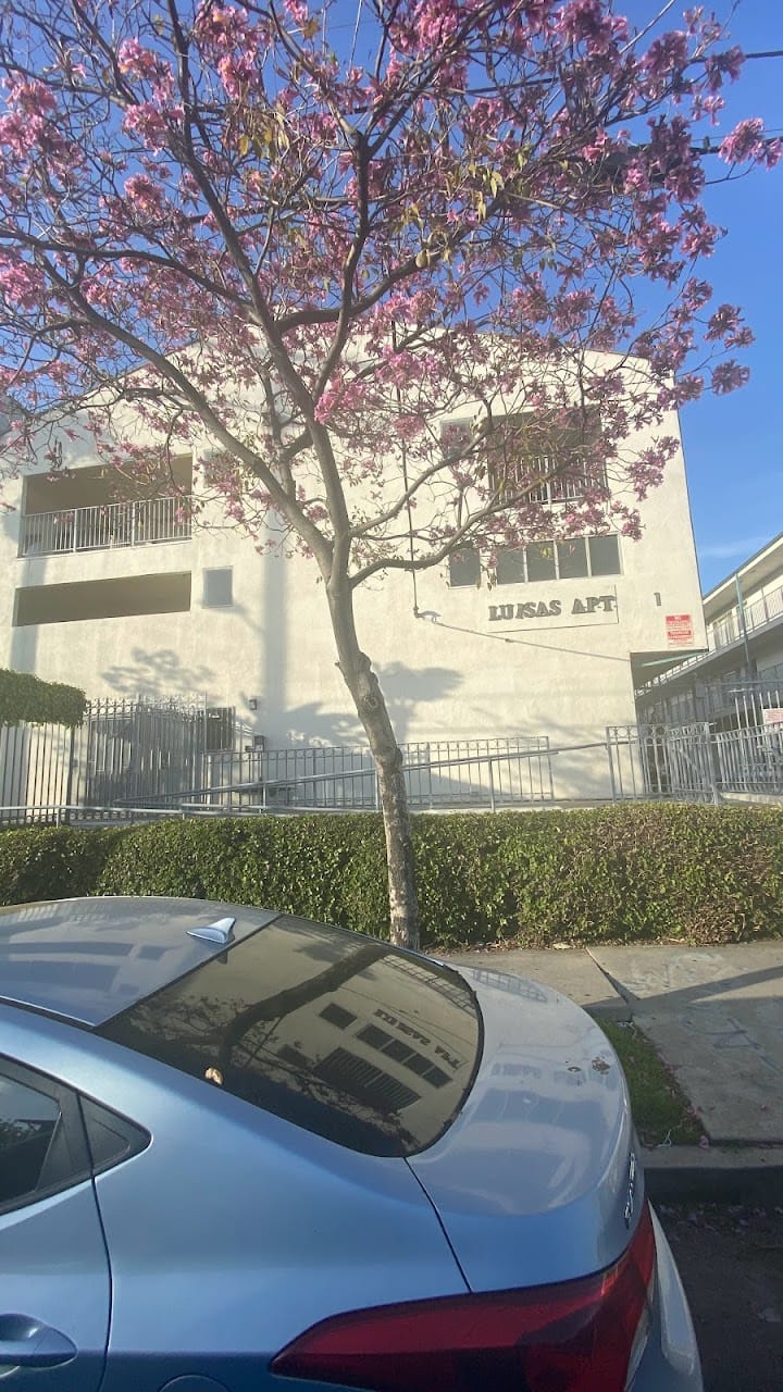 Luisa Apts
