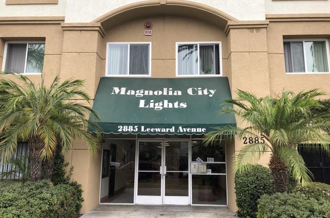 Magnolia City Lights