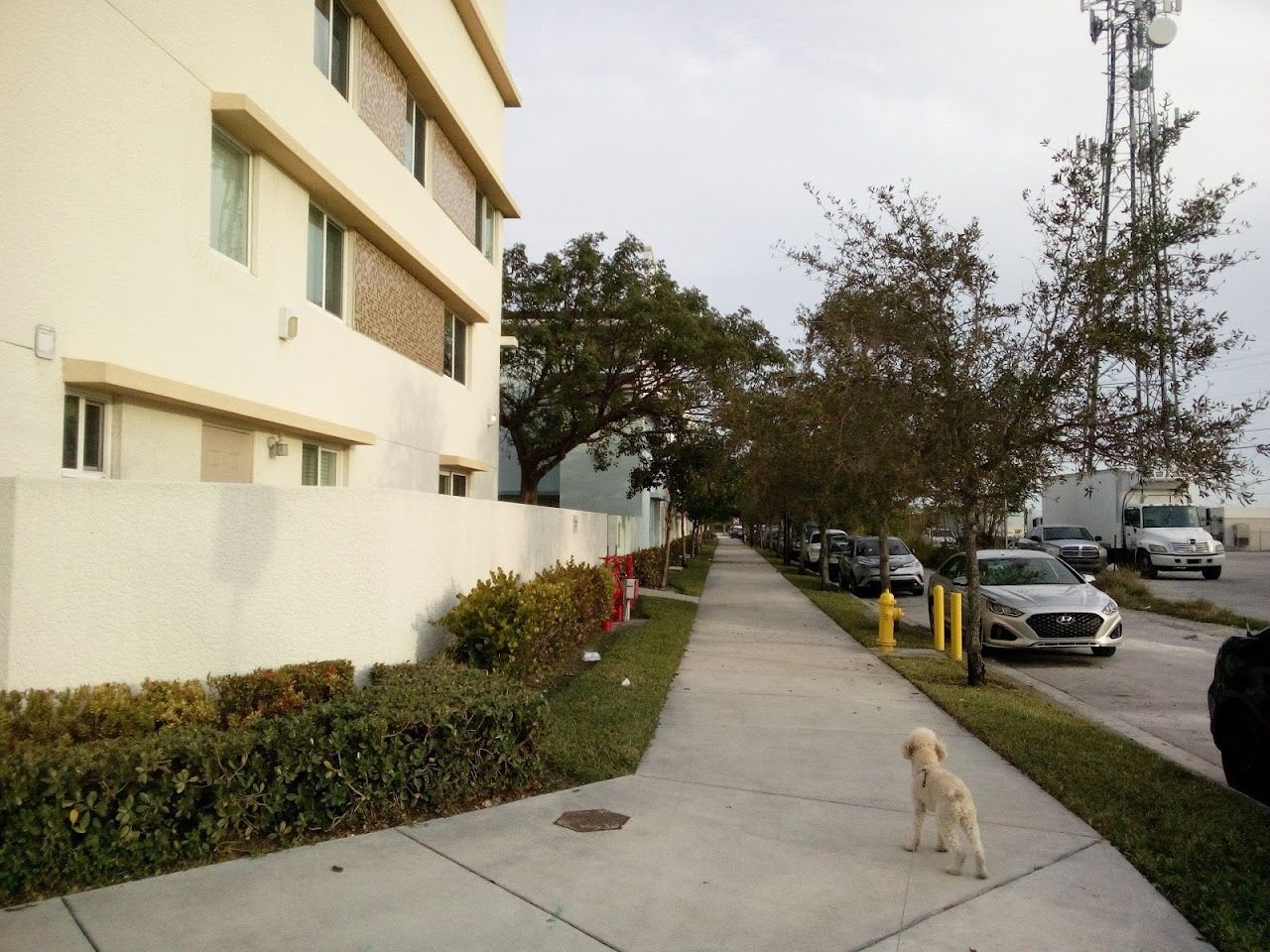Magnolia Landing Apts