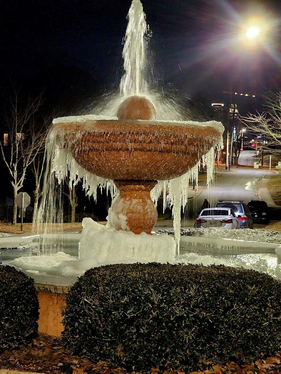 Magnolia Park Phase Ii