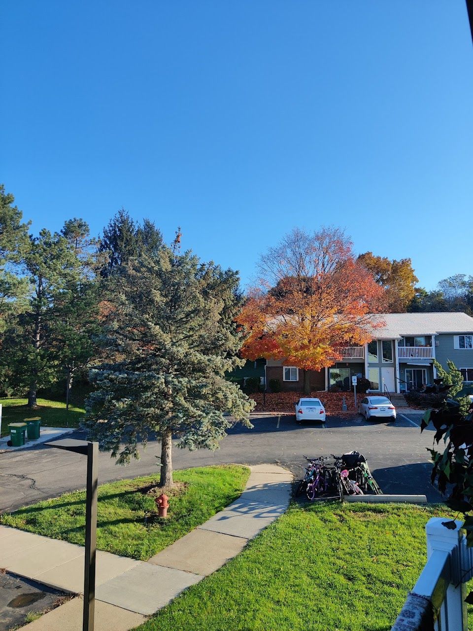 Maple Heights Apts