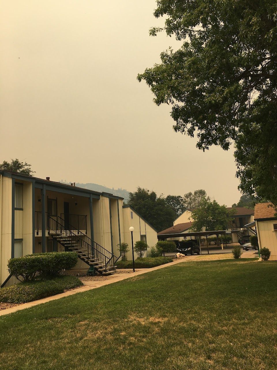 Mariposa Oaks