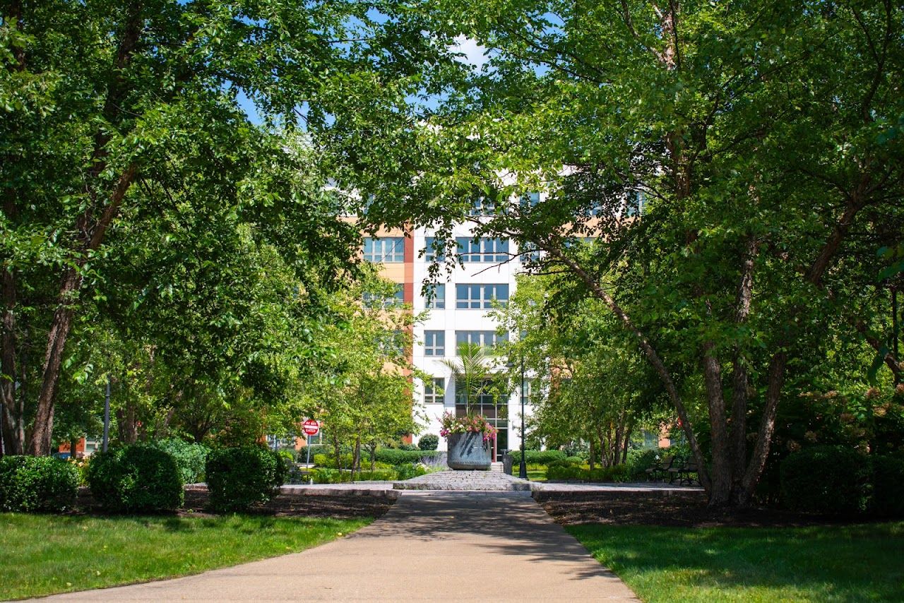 Mattapan Heights Iv