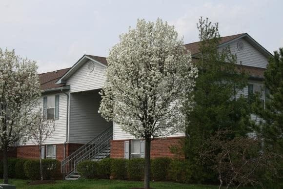 Meadow Ridge Apts