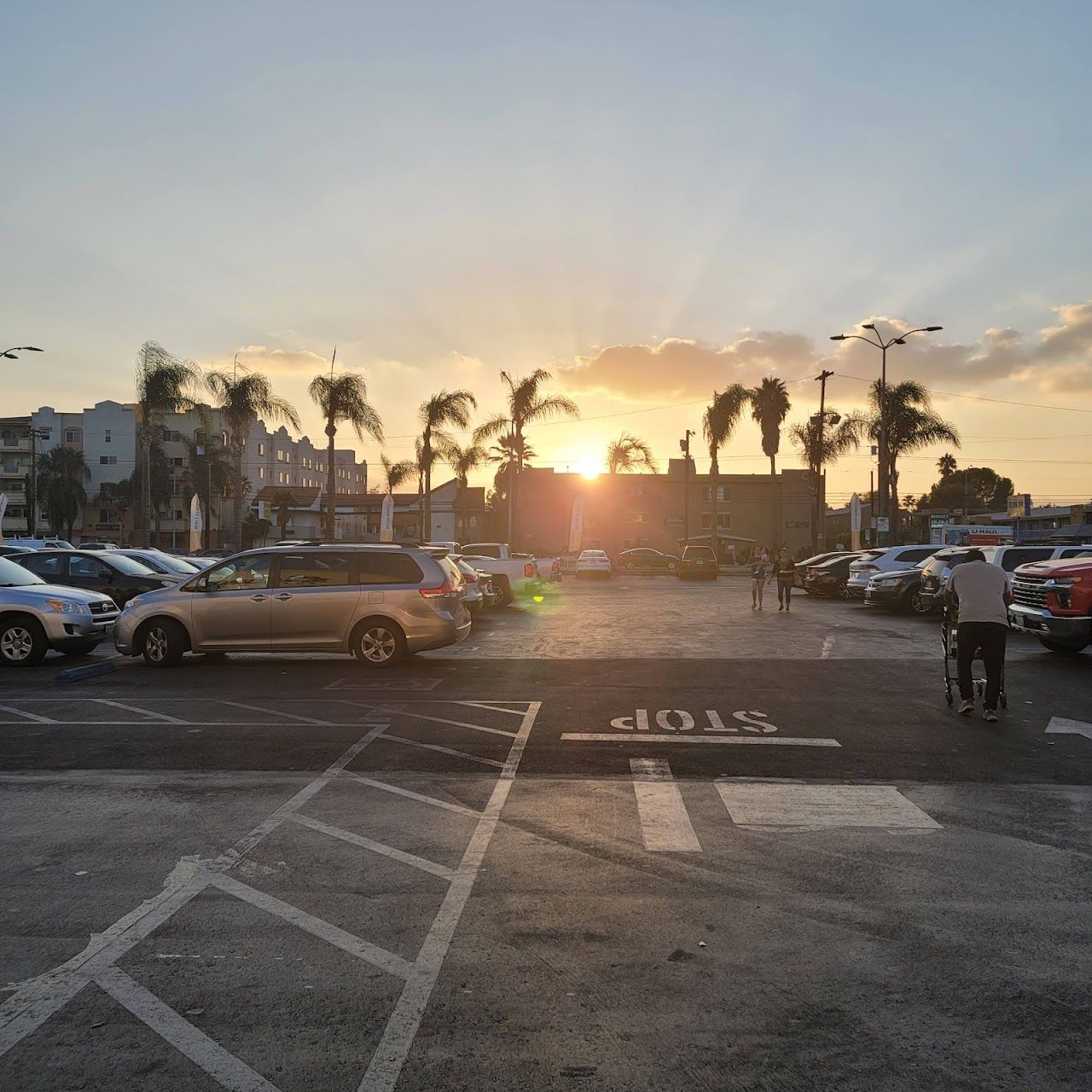 Mission City Lights