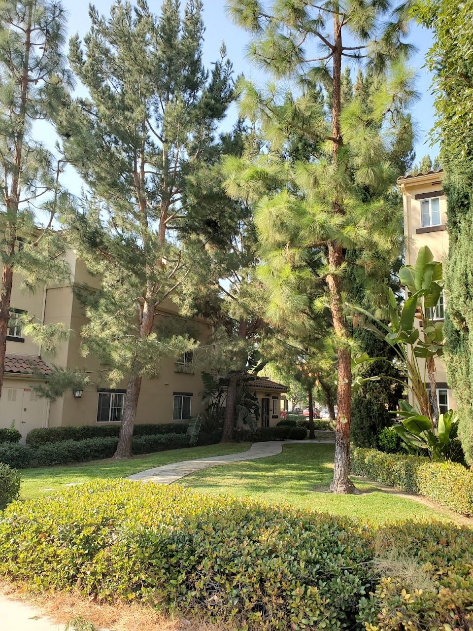 Montecito Vista Apt Homes